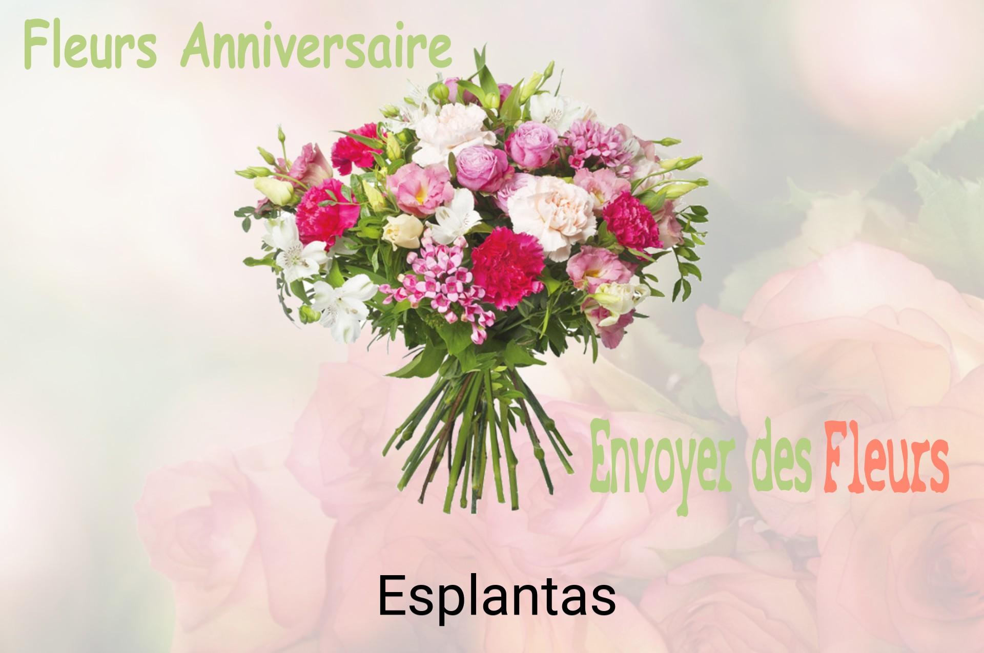 Bouquet de fleurs d’anniversaire livré à Esplantas