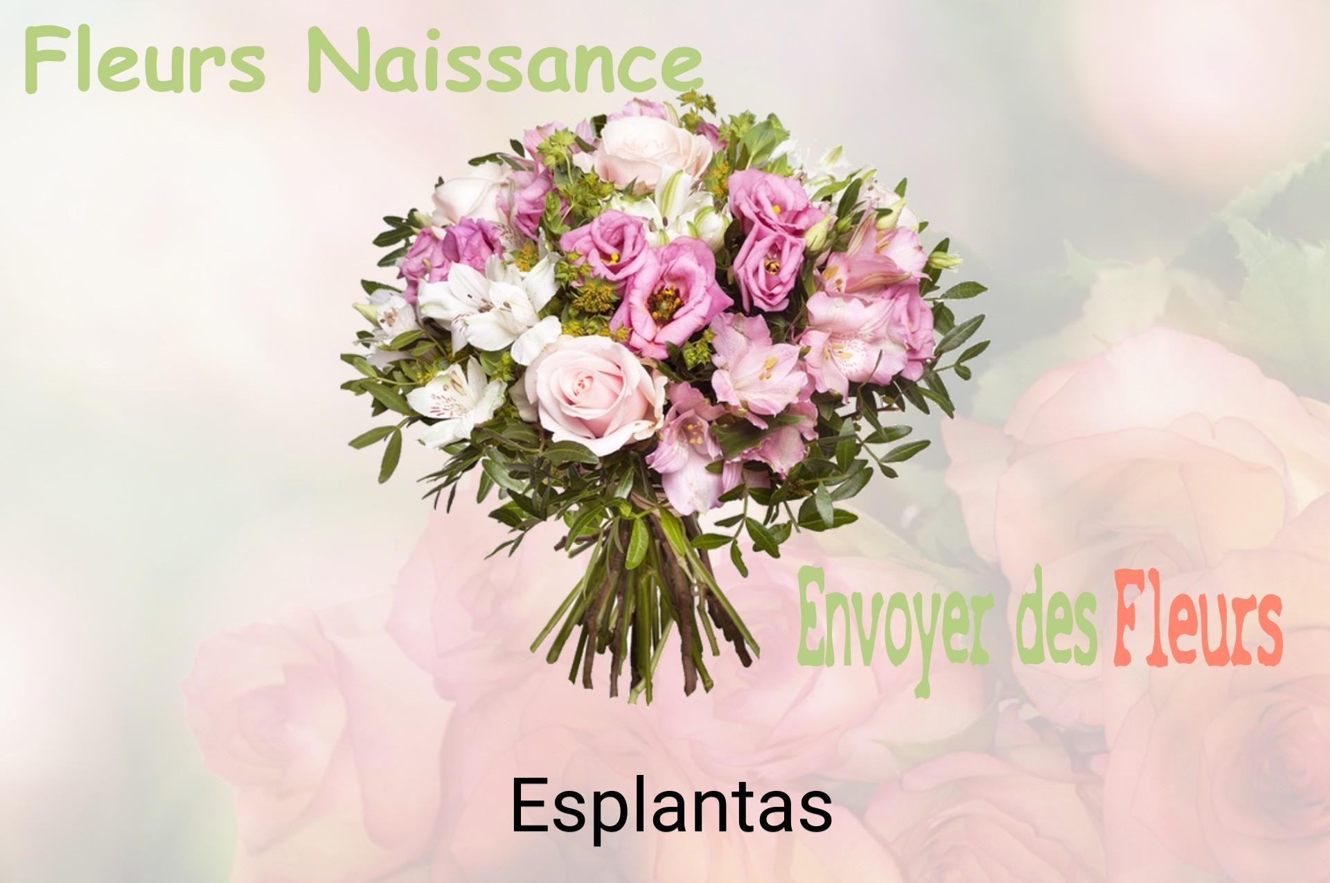 Bouquet de fleurs de naissance livré à Esplantas