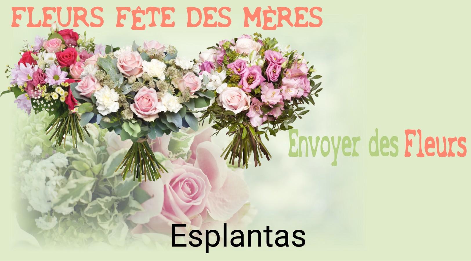 Bouquet de Fête des Mères livré à Esplantas